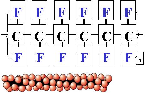 PTFE 的分子结构图 PTFE 的分子结构图